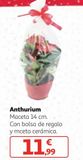 Oferta de Plantas con flor por 11,99€ en Alcampo