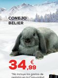 Oferta de Conejo por 34,99€ en Kiwoko