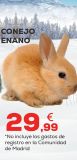 Oferta de Conejo por 29,99€ en Kiwoko