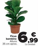 Oferta de Ficus bambino  por 6,99€ en Carrefour