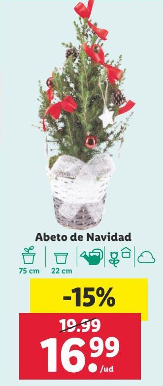 Comprar Árboles en Valladolid | Ofertas y descuentos