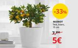 Oferta de Macetas por 5€ en IKEA