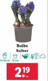 Oferta de Bulbos por 2,19€ en Lidl