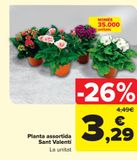 Oferta de Planta surtida San Valentín por 3,29€ en Carrefour