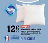 Oferta de Almohada antiácaros France por 12€ en Rocasa