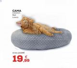 Oferta de Camas luxury en Kiwoko