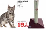 Oferta de Rascador por 19,99€ en Kiwoko
