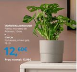 Oferta de Plantas Ikea por 13,98€ en IKEA