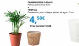Oferta de Plantas por 5,5€ en IKEA