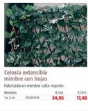 Oferta de CELOSÍA EXT.MIMBRE  C/HOJAS BASIC 1X2m por 34,95€ en BAUHAUS