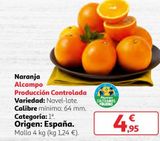Oferta de Naranjas por 4,95€ en Alcampo