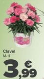 Oferta de Clavel  por 3,99€ en Carrefour
