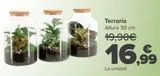 Oferta de Terrario  por 16,99€ en Carrefour