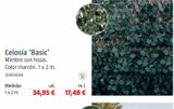 Oferta de Celosía de mimbre por 34,95€ en BAUHAUS