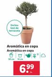 Oferta de Plantas aromáticas por 6,99€ en Lidl