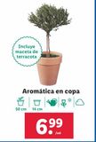 Oferta de Plantas aromáticas por 6,99€ en Lidl