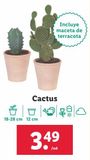 Oferta de Cactus por 3,49€ en Lidl
