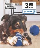 Oferta de Accesorios para el cuidado de mascotas Zoofari por 3,99€ en Lidl