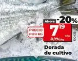 Oferta de DORADA DE CULTIVO por 7,19€ en Maxi Dia