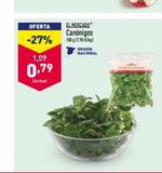 Oferta de Canónigos origen en ALDI