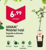 Oferta de Frutales  en ALDI