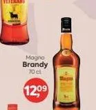 Oferta de Brandy Magno en Suma Supermercados