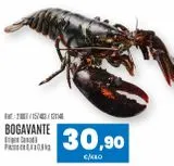 Oferta de Bogavante por 30,9€ en Makro