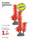Oferta de Plantas por 2,29€ en Kiwoko
