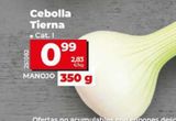 Oferta de Cebolla tierna por 0,99€ en Dia Concept