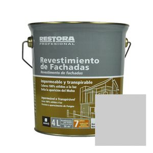 Oferta de Pintura de fachadas revestimiento por 19,95€ en Brico Depôt