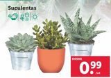 Oferta de Plantas por 0,99€ en Lidl