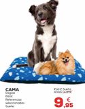Oferta de Cama para perros por 9,95€ en Kiwoko