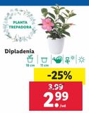 Oferta de Plantas con flor por 2,99€ en Lidl