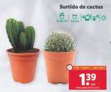 Oferta de Cactus por 1,39€ en Lidl