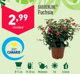 Oferta de Plantas por 2,99€ en ALDI