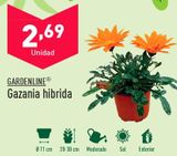 Oferta de Plantas por 2,69€ en ALDI
