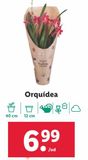 Oferta de Orquídeas por 6,99€ en Lidl