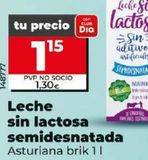 Oferta de LECHE SIN LACTOSA SEMIDESNATADA por 1,15€ en Dia