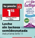 Oferta de LECHE SIN LACTOSA SEMIDESNATADA por 1,15€ en Dia
