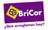 Logo BriCor